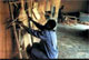 Raffia Workshop